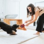 Juguete para Perro Rio Bat - Imagen 3