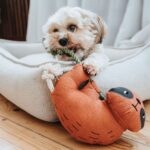 Juguete para Perro Rio Sloth - Imagen 4