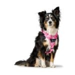 Arnés para Perro Divo Camouflage - Imagen 4