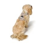 Arnés para Perro Divo Up - Imagen 7