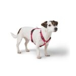 Arnes para Perro Tripoli - Imagen 2