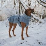 Abrigo para Perro Paxson - Imagen 8