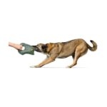 Juguete para Perro Tough Tundra Raccoon - Imagen 3