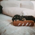 Juguete para Perro Belem Baguette - Imagen 2