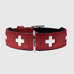 PERROS - COLLAR (Custom)